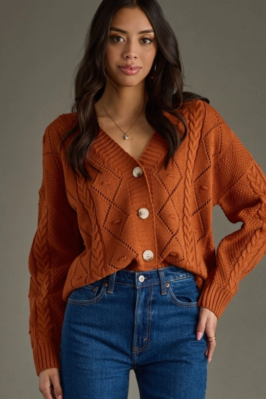 Rust Button Up Cardigan