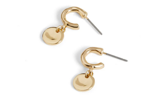 Small Hoop w/ Circle Dangle Earring