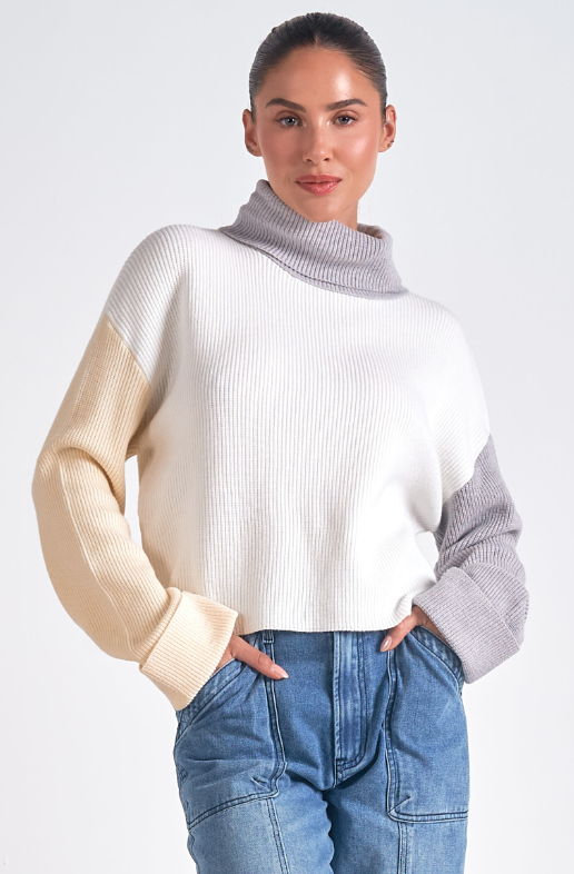 Elan Color Block Turtleneck