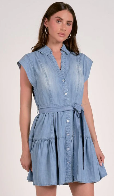 Elan Denim Dress