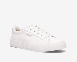 Taos Plim Soul Lux Sneaker